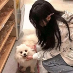 手游全民斩仙2内购破解版下载